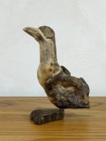 Vogel 1